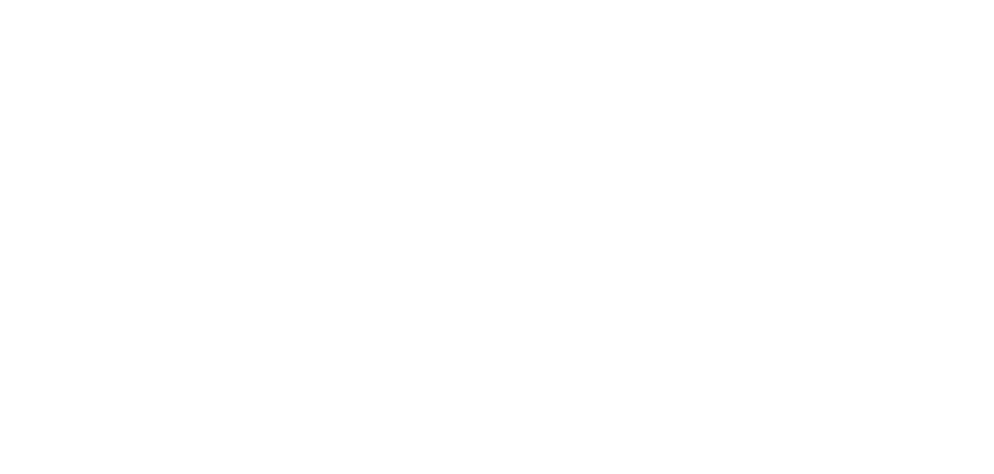 ALPIN8 Logo